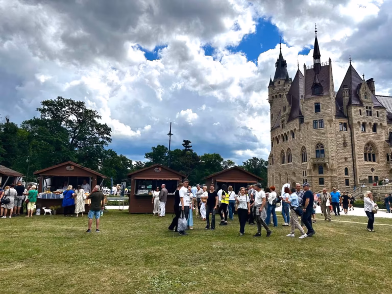 Konsultacje branżowe i środowiskowe | X Targi Ekonomii Społecznej w Mosznej